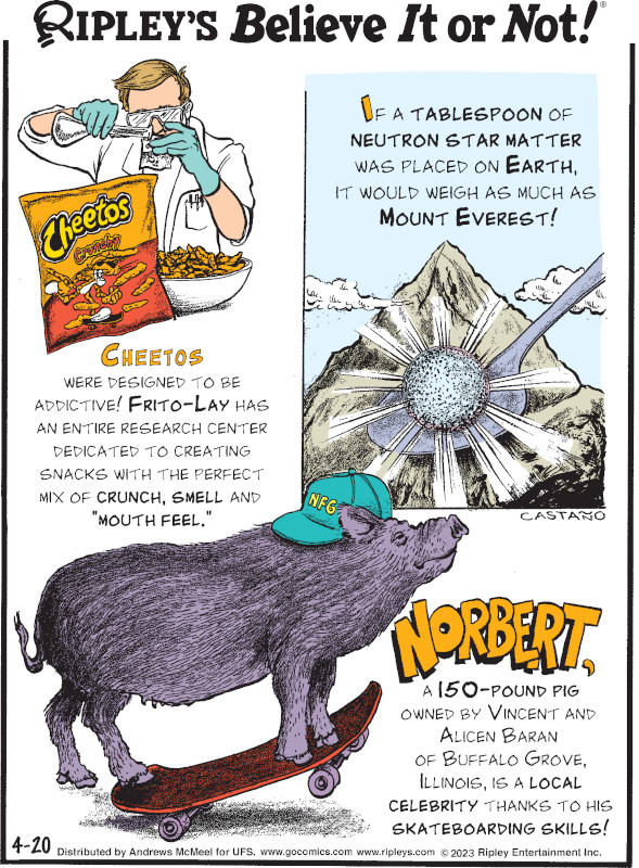 1. Cheetos wurden entwickelt, um süchtig zu machen!  Frito-Lay hat ein ganzes Forschungszentrum, das sich der Herstellung von Snacks mit der perfekten Mischung aus Knusprigkeit, Geruch und Geschmack verschrieben hat "Mundgefühl." 2. Wenn ein Esslöffel Neutronensternmaterie auf die Erde gebracht würde, würde er so viel wiegen wie der Mount Everest!  3. Norbert, ein 150-Pfund-Schwein im Besitz von Vincent und Alicen Baran aus Buffalo Grove, Illinois, ist dank seiner Skateboard-Fähigkeiten eine lokale Berühmtheit!